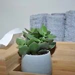 Ischl Апартаменты *