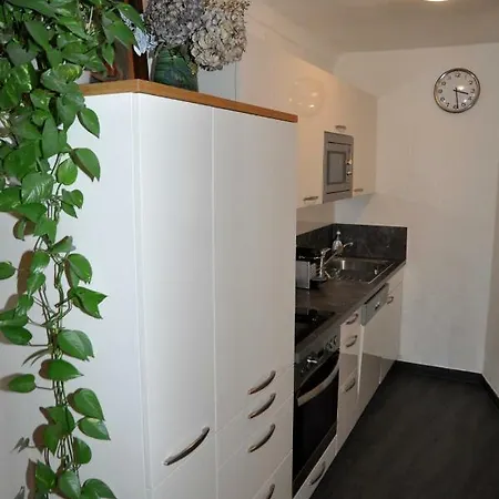 Apartmán Ischl *